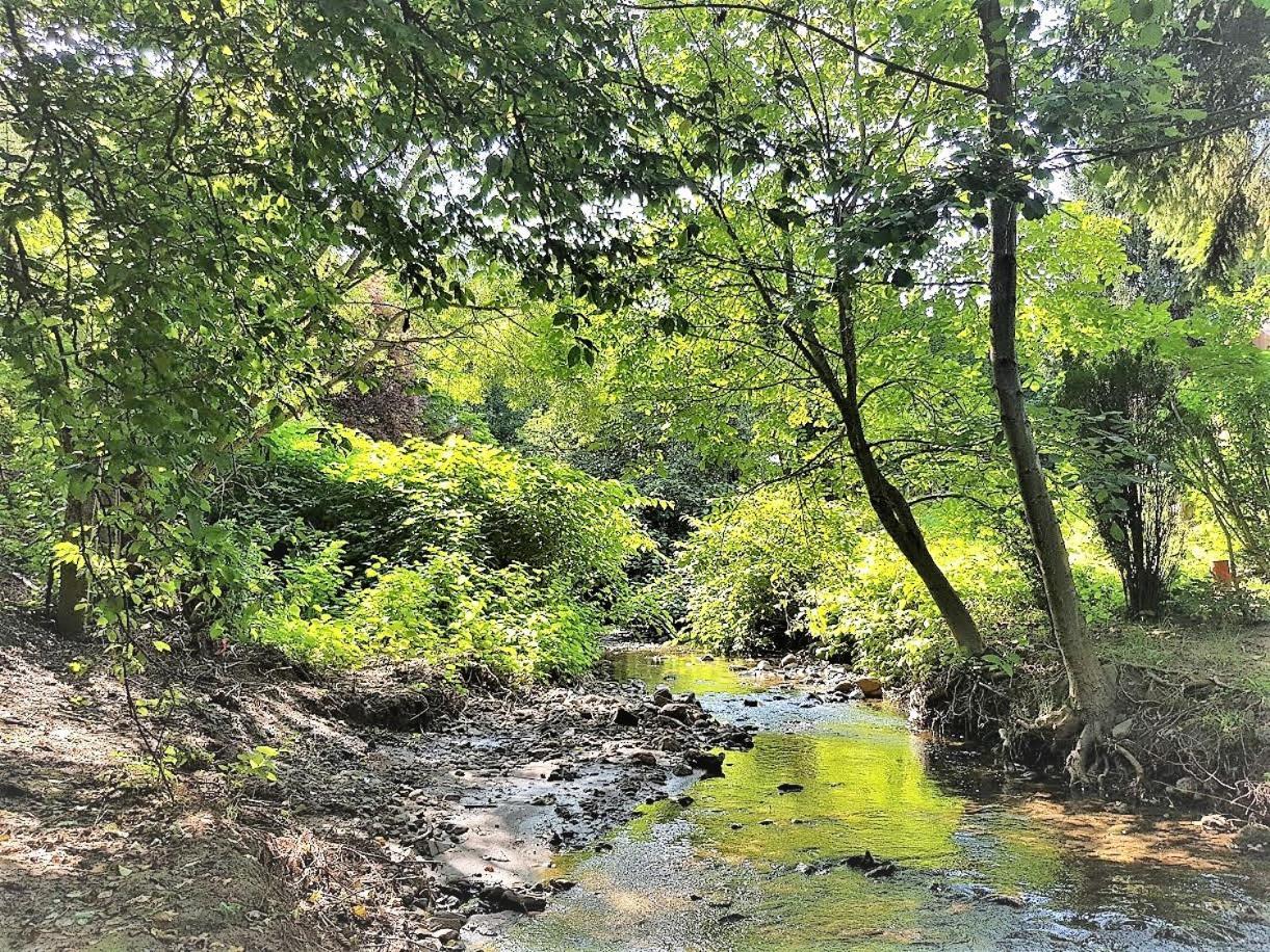 Parád Muskatli Vendeghazホステル エクステリア 写真